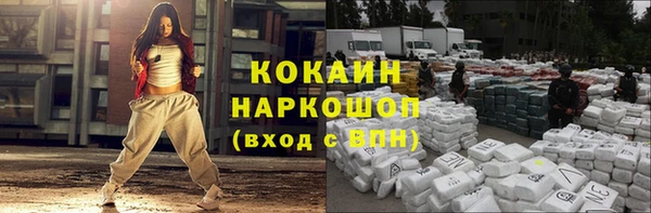 спиды Каменка